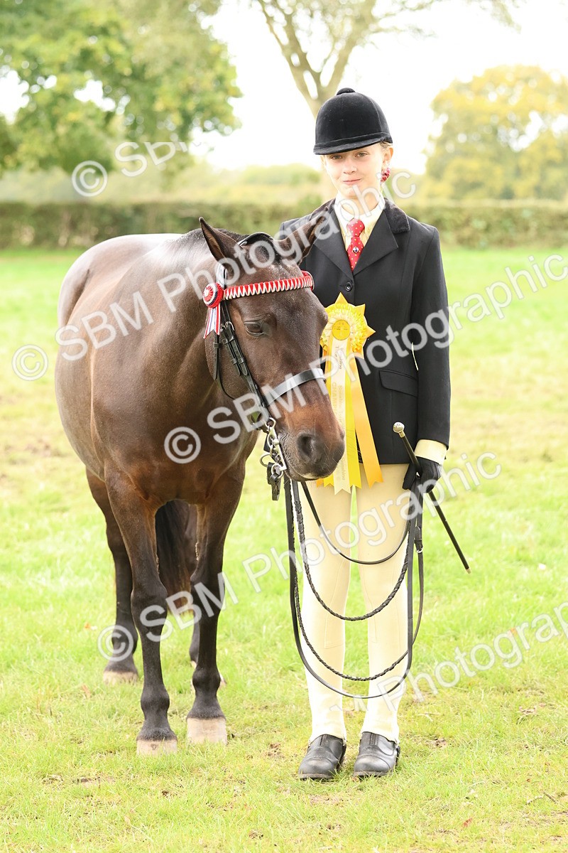SBM_60001 - S36 - Rehabiliated Rescue Horse & Pony In Hand & Ridden