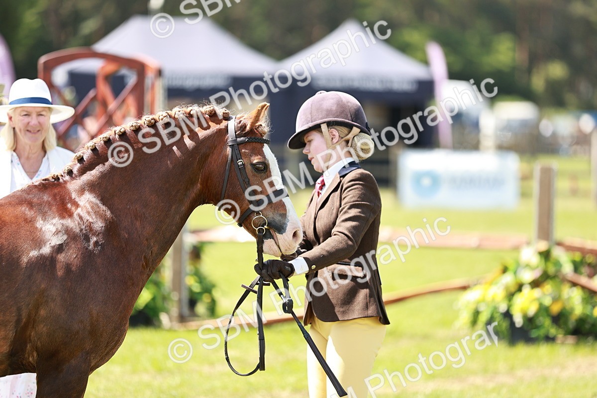 SBM_15540 - Class 108-109 - BSPS LIHS Open Gradle & Nursery Stakes