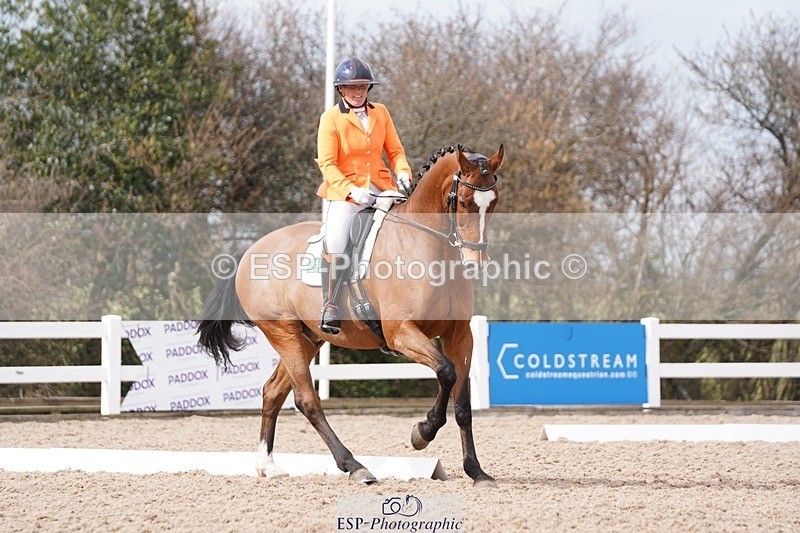 250322-131022-00457 - DR Elementary 2 Test