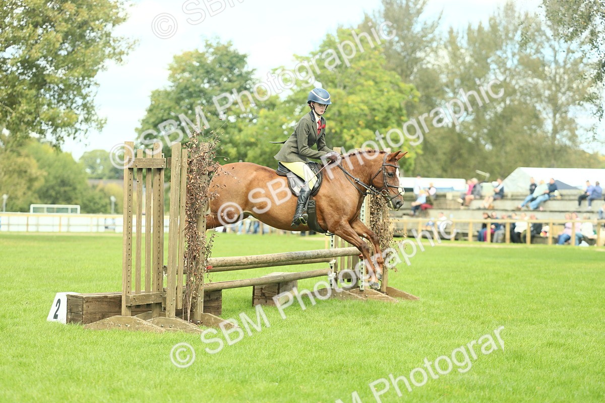 SBM_44558 - S31 - Working Hunter Pony