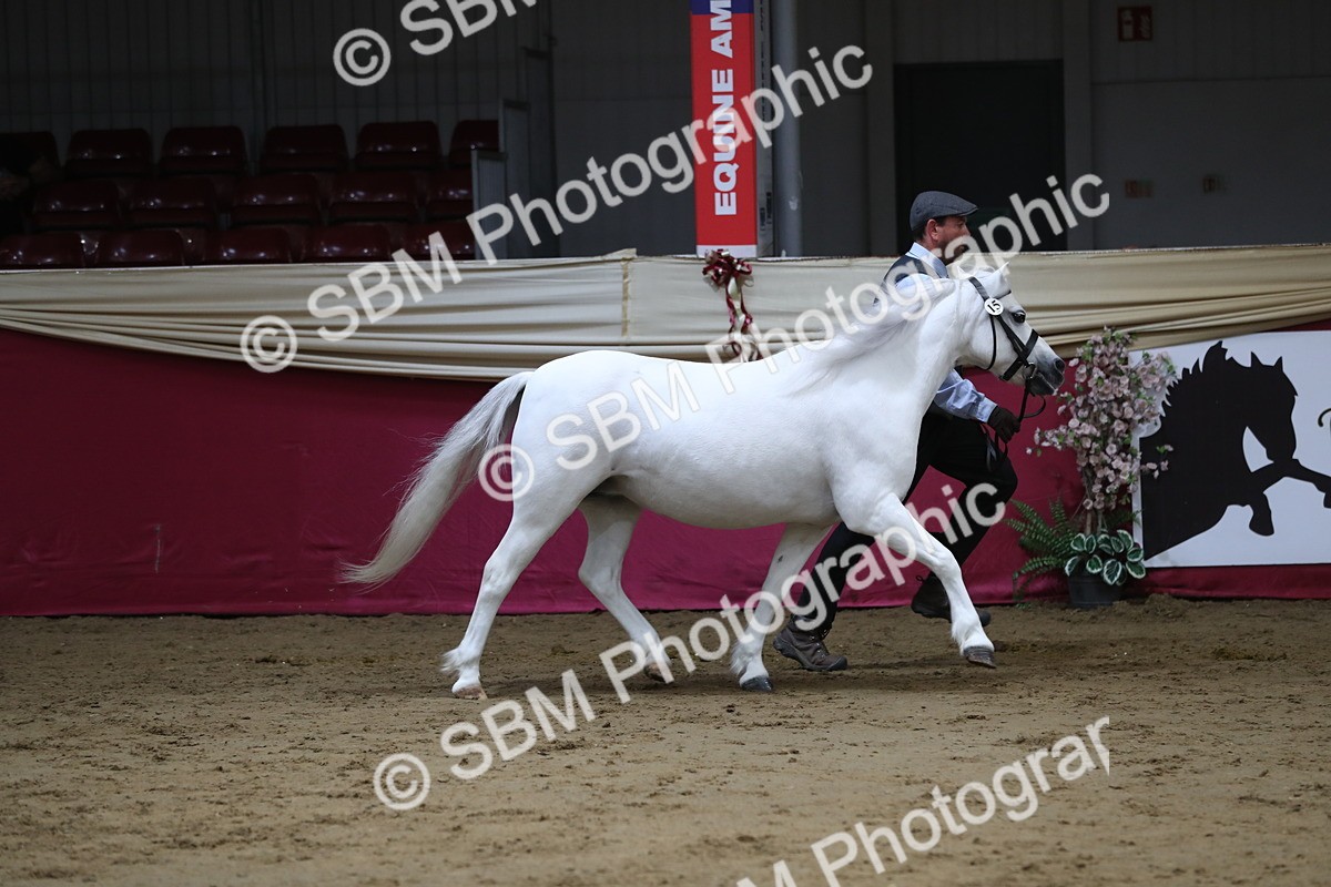 SBM_06342 - Class 9R Regional- IH Pre Vet