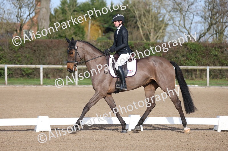 20260128-0340 - Class 3 - Novice 4