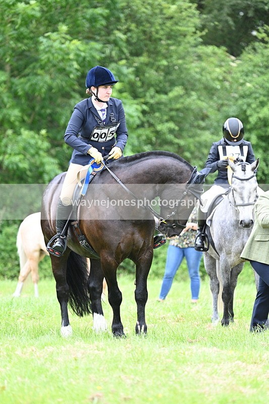 WJ7_4235 - Class 14A Handsome Gelding