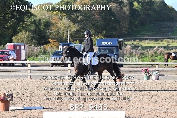 BPP_9485 - SHORT ARENA