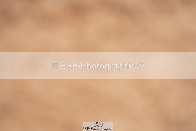 240506A-094324-08071 - Cls 12 Springboard 128cm & 138cm