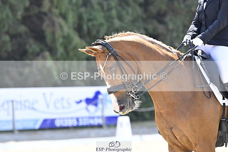 250810A-114704-05512 - 113-Stacey.EscrigJOIE.DE.VIVRE.III