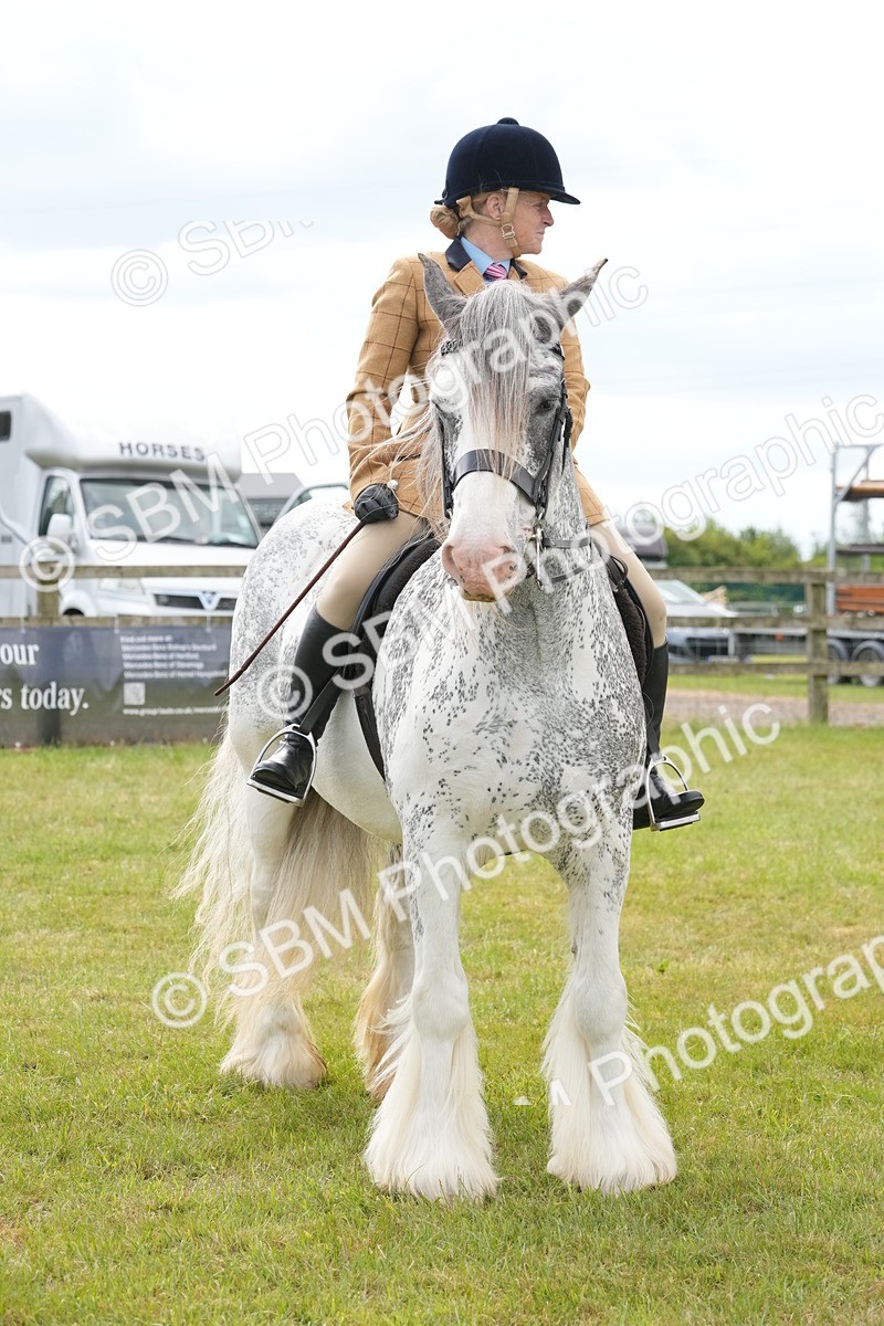 SBM_17331 - Class 107-108 - LIHS BSPS Performance Coloured Horse Pony