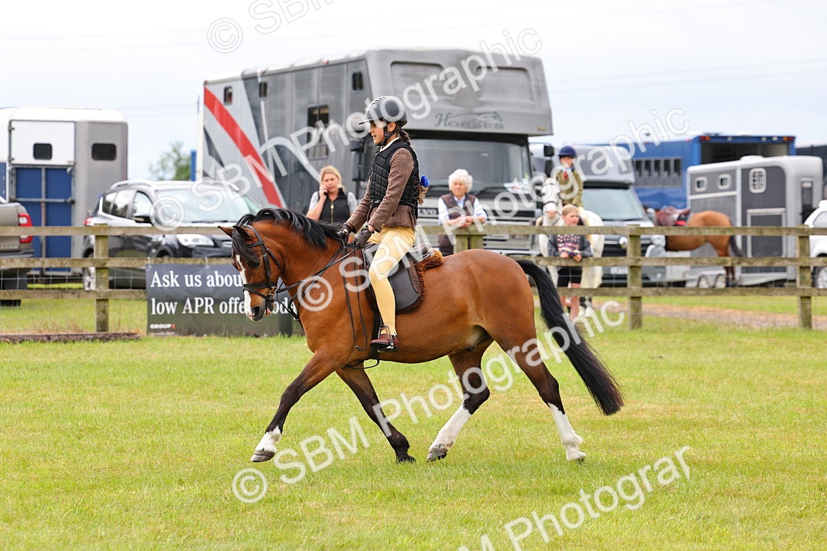 SBM_08608 - Class 42-43 - LIHS BSPS Heritage Working Sports Pony