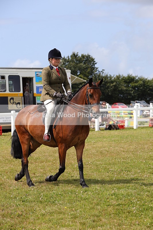 1X9A4093 - Class 32: Show Hunter Pony 153cm and under