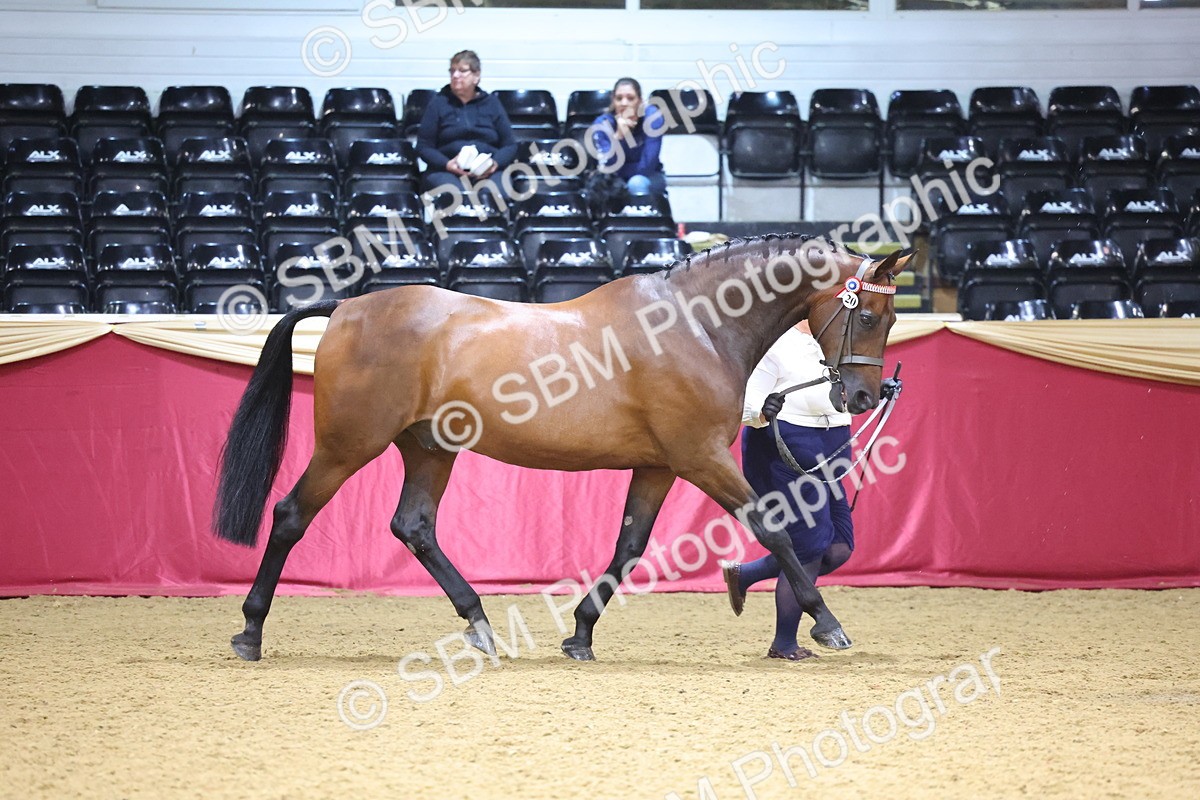 SBM_20985 - Class 902 - Supreme Final IH Veteran