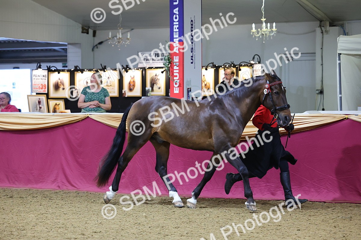 SBM_20790 - Class 902 - Supreme Final IH Veteran