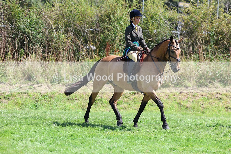 3E7A9185 - Working Hunter Championship