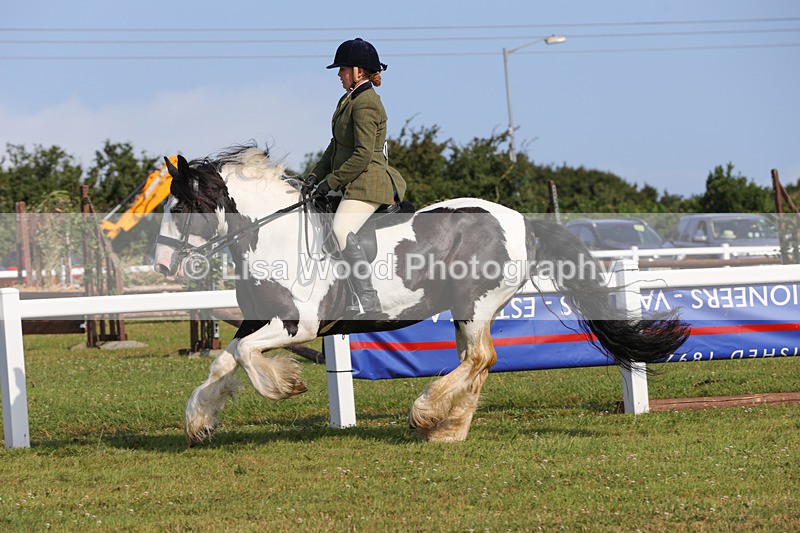 1X9A3363 - Class 28: Ridden Native/Trad Coloured Pony