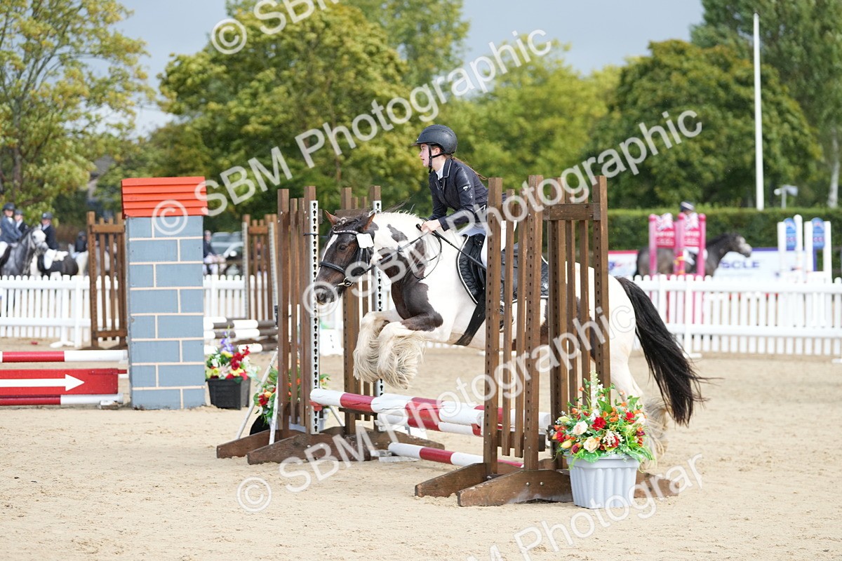 SBM_19733 - J49 - Open 50cm