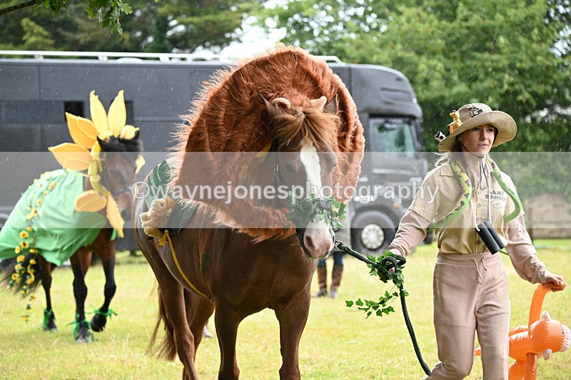 WJ6_9051 - Class 11 Fancy Dress