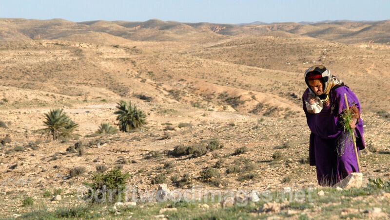 Tamezret woman in purple - Tunisia