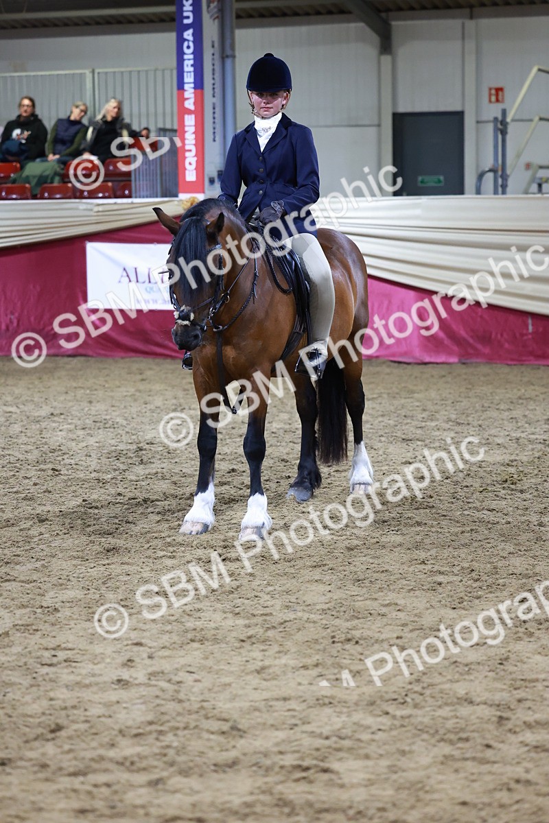 SBM_21375 - Class T - Working Veteran Champs