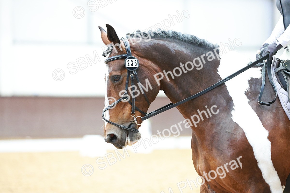 SBM_011447 - Prelim 5 - 13.05-14.01