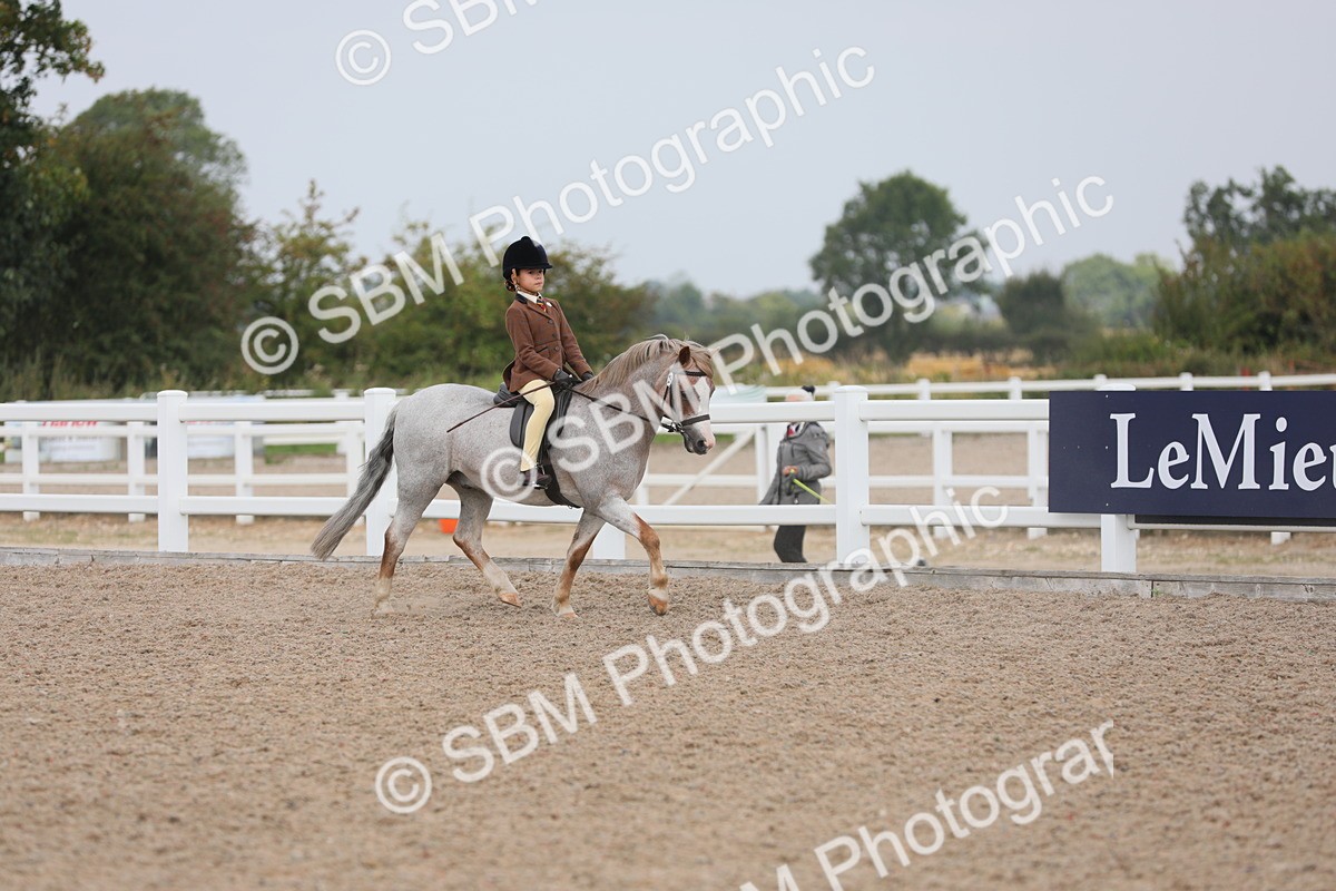 SBM_12678 - Class 307 Ridden Coloured Pony