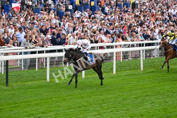 230825-Race 4-Ethical Diamond-0575 - Race 4 3.35pm Sky Bet Ebor Handicap