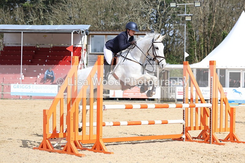 3E7A6637 - Class 4: Senior British Novice/90cm open