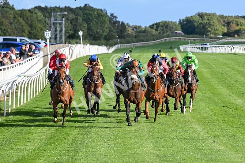 080926-Race 7-Military Girl-3302 - Race 7 5.21pm RMG Proudly Supports Teenage Cancer Trust Handicap