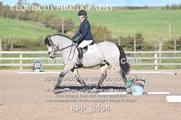 BPP_8494 - SHORT ARENA