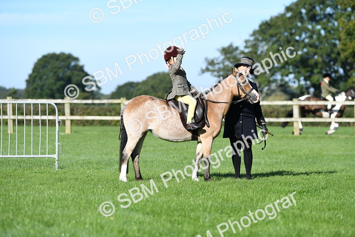 SBM_35353 - S17 - Condition & Turnout - Lead Rein