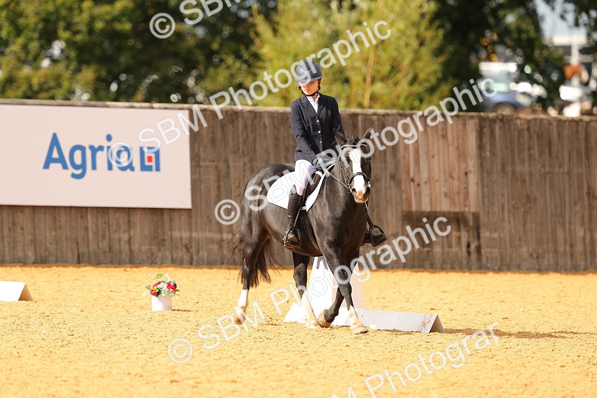 SBM_48203 - D22 - Junior Championship - Intro B