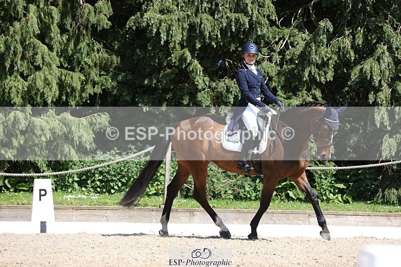 230526-151441-06660 - 379-QUIZICAL_Z-Alice_Hallows-WEDTrotUp+DR