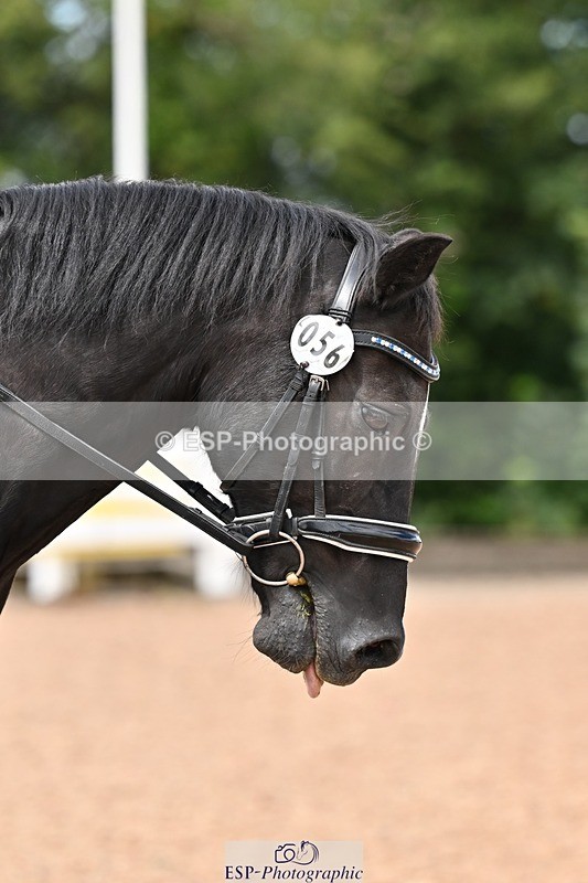 260704-130321-04751 - Cls 4D Senior Intermediate Novice 1