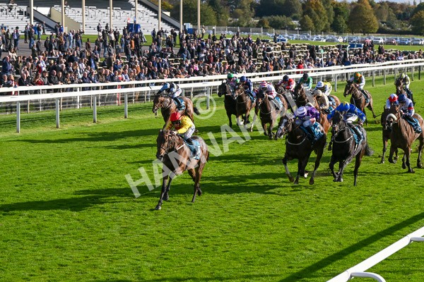 111024-Race 5-Vince LAmour-1992 - Race 5 3.45pm Copper Knight - Winning Most Horse At York Handicap