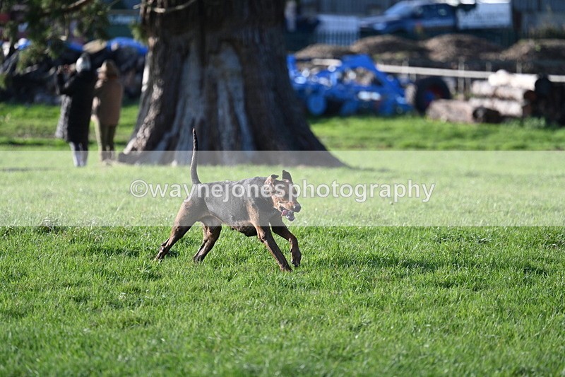 WJ7_4271 - Camera B