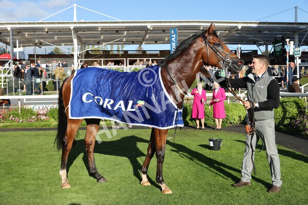 yr08102022r5-58 - Race 5 3.50pm The Coral Committed To Safer Gambling EBFStallions.com Maiden Stakes