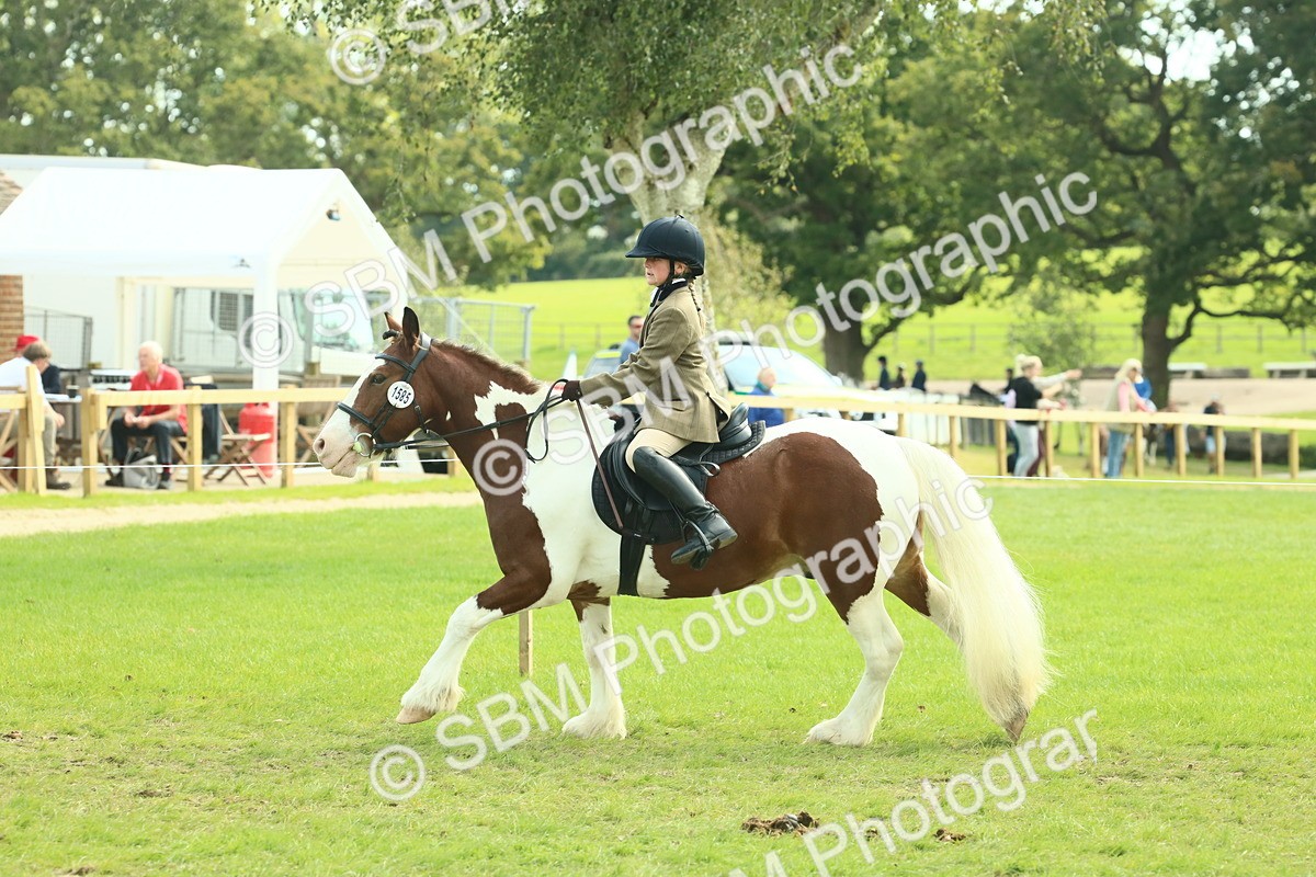 SBM_68840 - S58 - Mini Show Cob Ridden