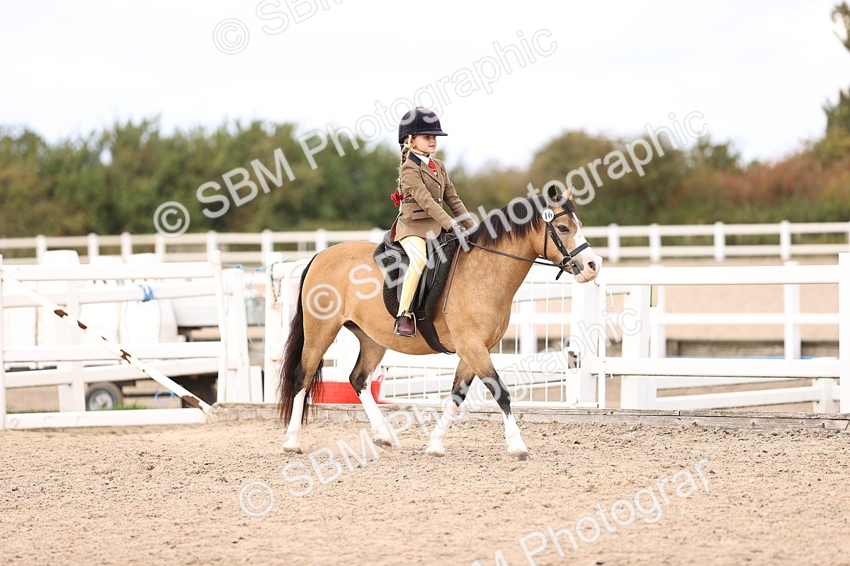 SBM_15934 - Class 416 - Prettiest Mare (IH or Ridden) Jnr
