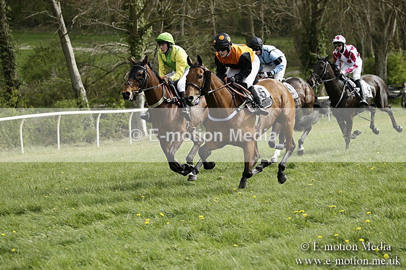 PtP 170417 295 - Old Berks Point-to-Point Lockinge 17/04/17