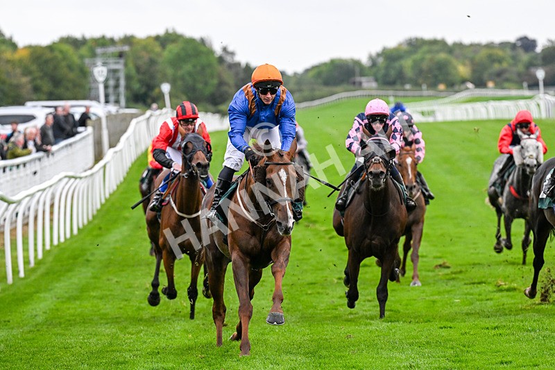 011025-Race 4-Bollin Neil-0386 - Race 4