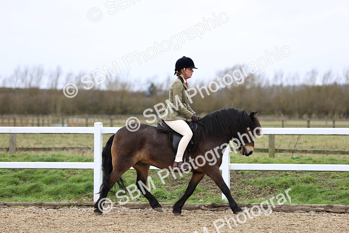 SBM_006740 - Class 29 - 30 - M&M Pure Novice Small-Large Breeds