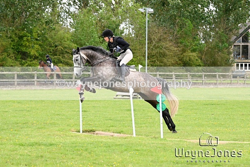 WJ6_3676 - Edited examples