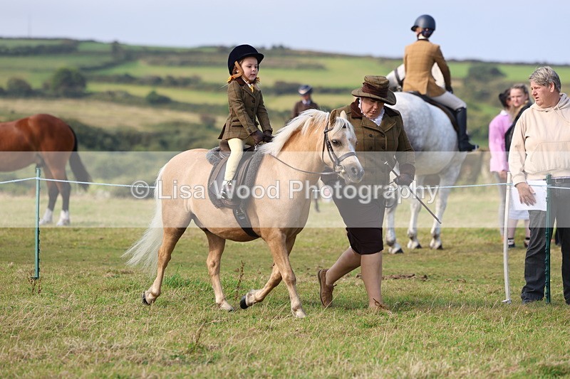 3E7A3454 - Class 2: Lead rein