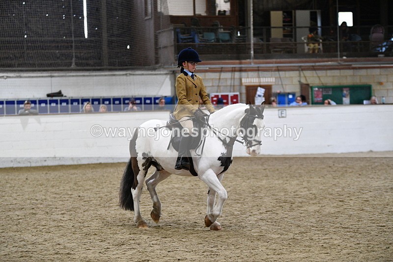 WJ5_7297 - Class 11 Ridden PC - RC Pony