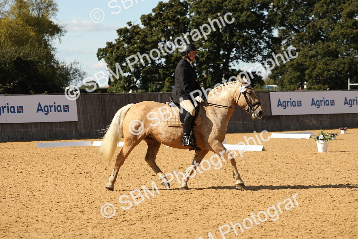 SBM_24576 - D17 - Grand Tour Championship - Novice 27