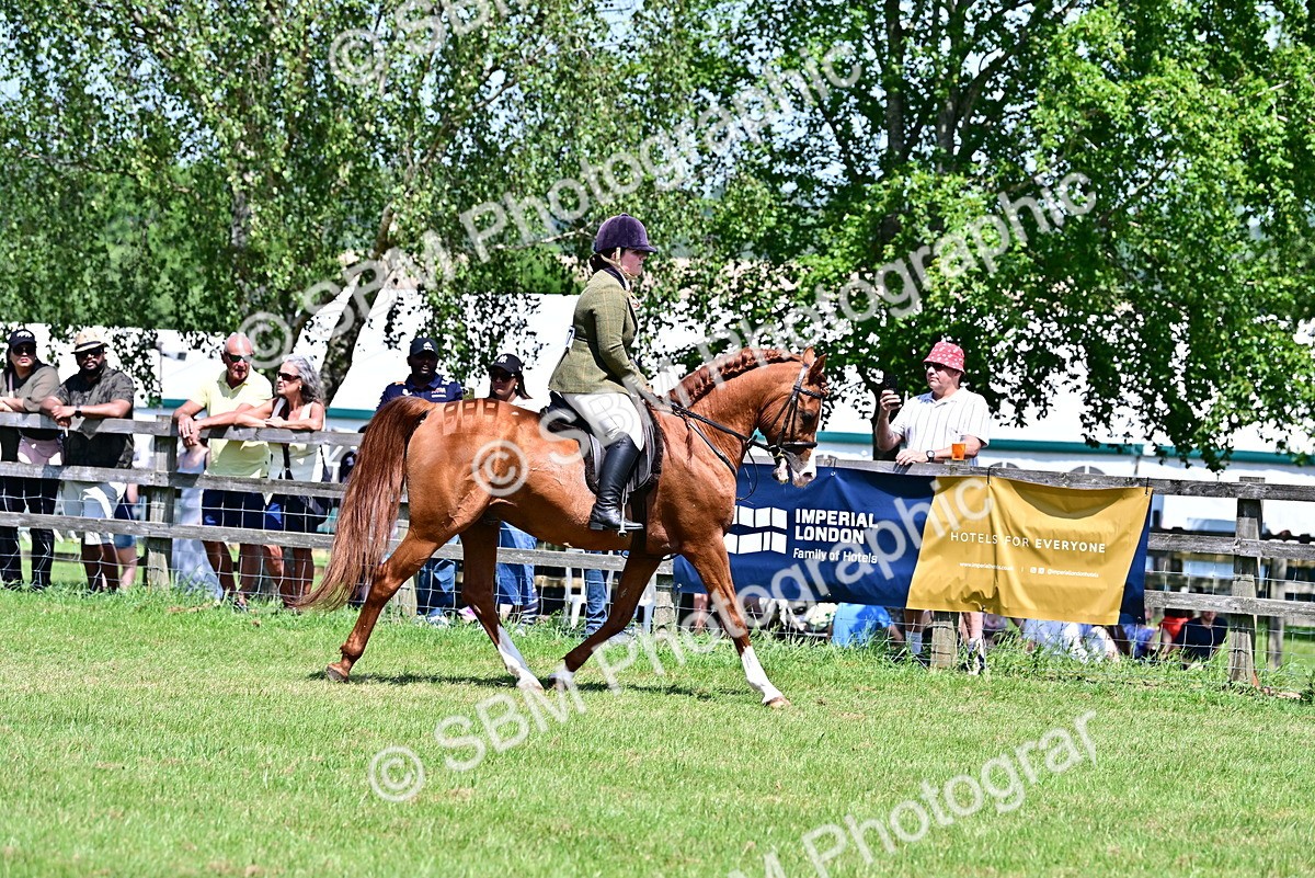 SBM_17388 - Class 95-97 - BSPS LHS Performance Ponies