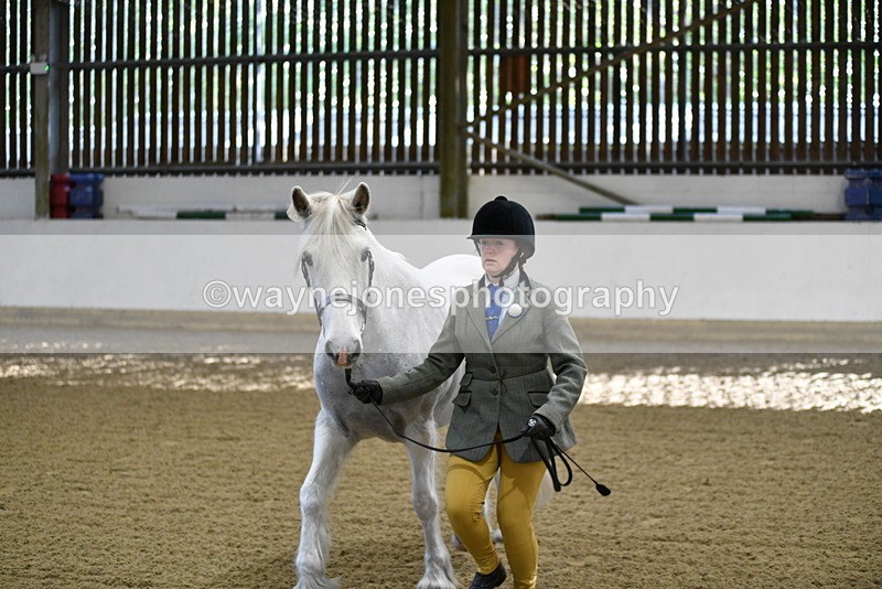 WJ5_3556 - Class 5 In Hand Veterans