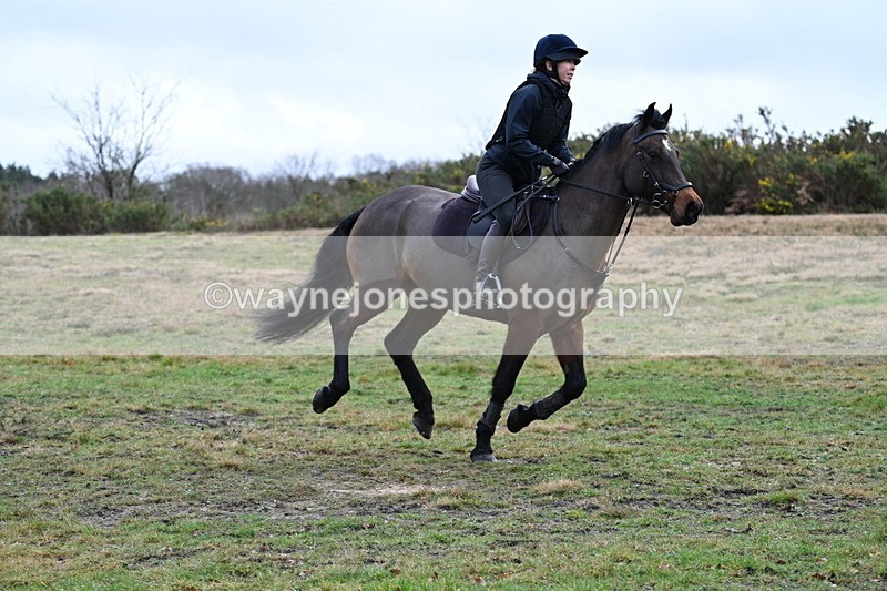 WJ7_7729 - Time 10:00 to 10:45