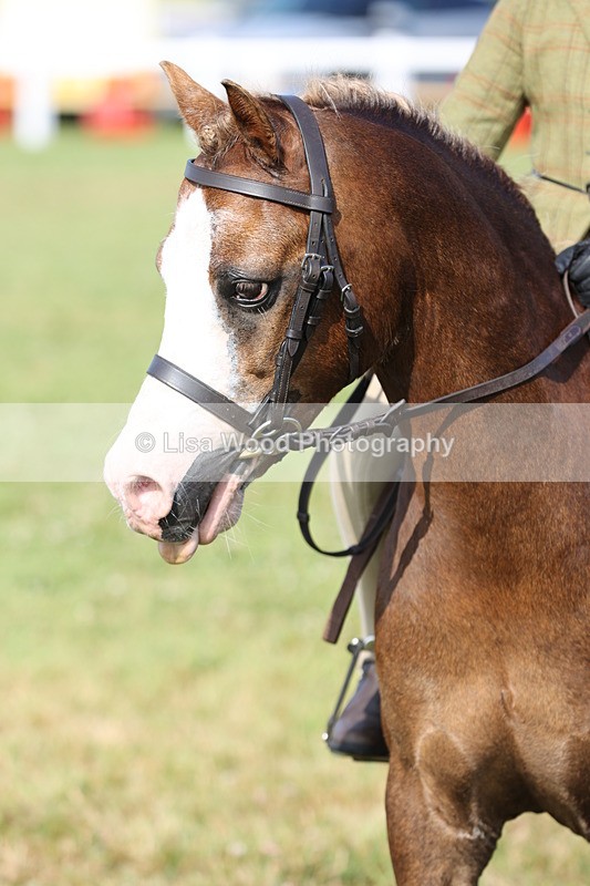 JPP_0562 - Class 15: Cornish Combination First Ridden