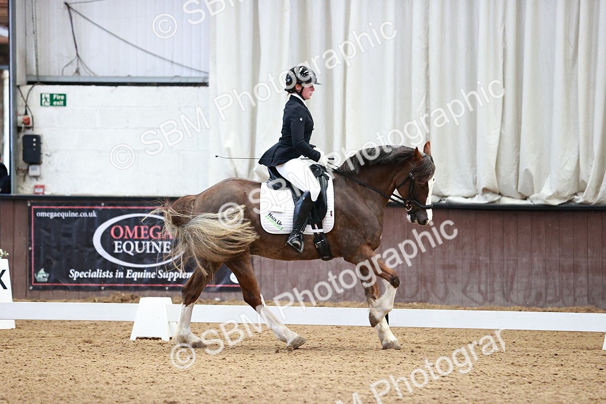 SBM_000146 - Class 3, 4, 8, 10 Intro 3 Prelim 3 Novice 2