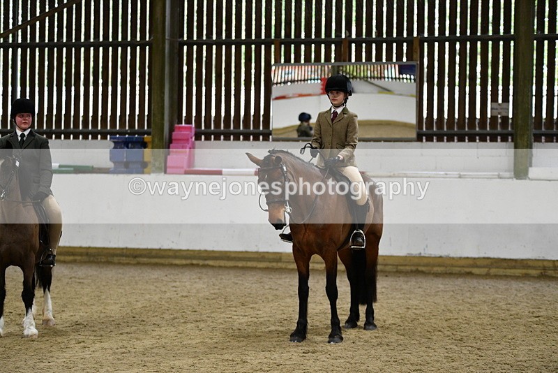WJ5_7337 - Class 11 Ridden PC - RC Pony