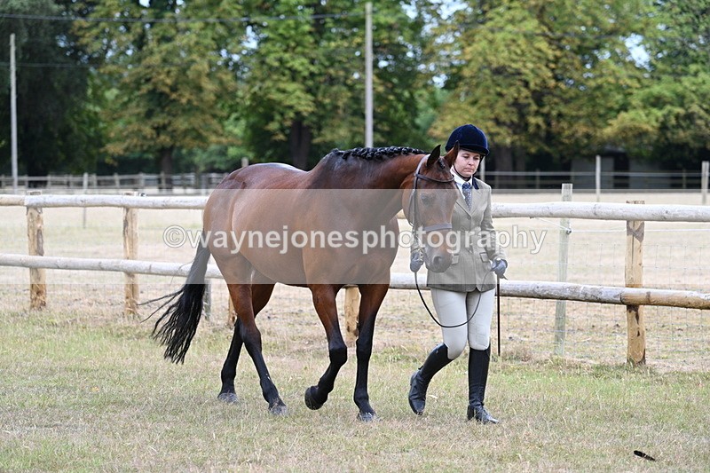 WJ7_8965 - Class 4a Prettiest Mare 14.2hh and over